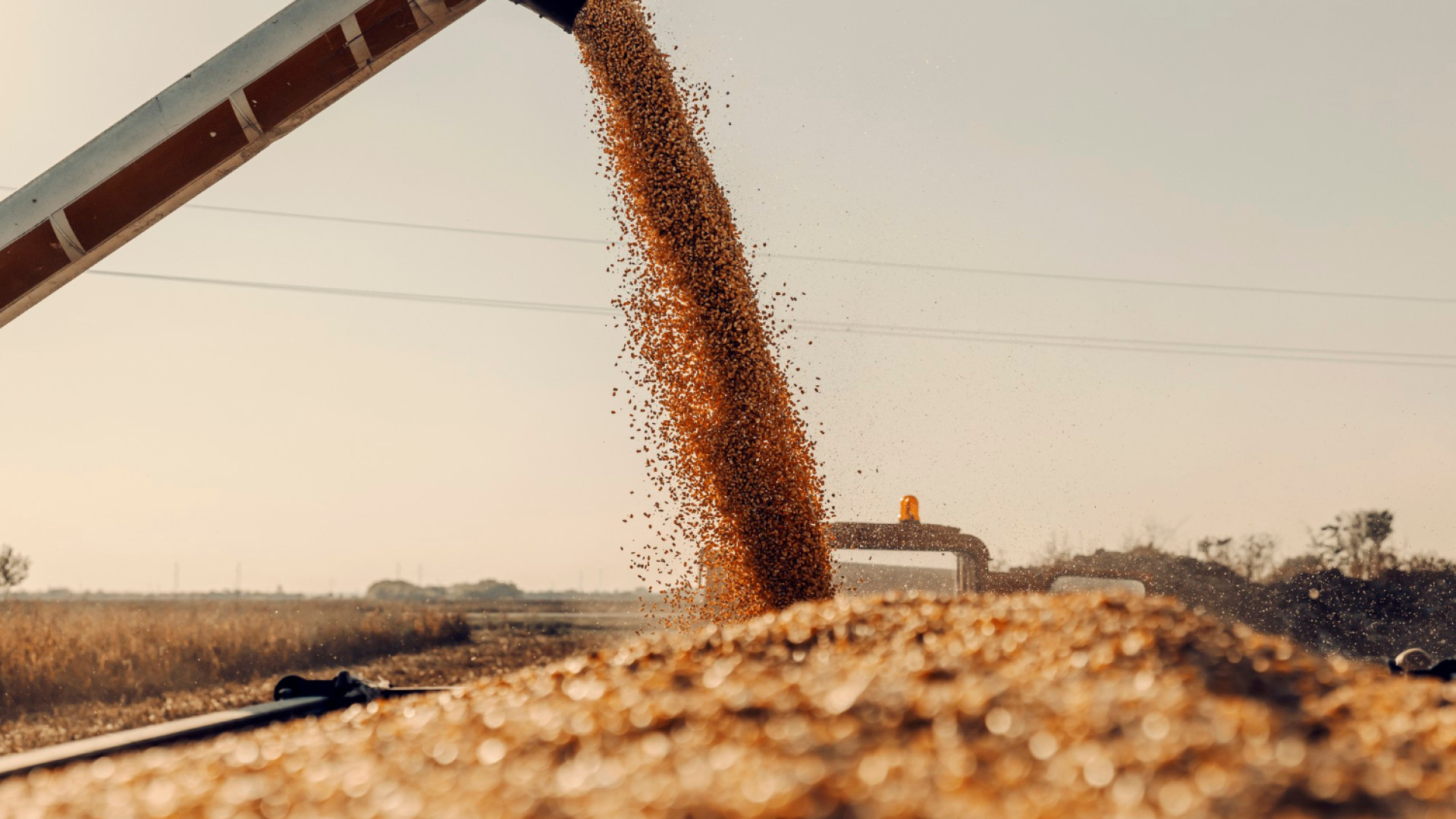 Comment les broyeurs Doppstadt peuvent optimiser vos projets de recyclage ?